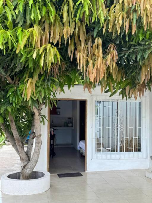 Apartment Parejas